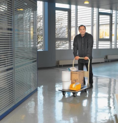 Klappbarer Schiebebügelwagen Eco mit Antirutschbelag, Traglast 150 kg