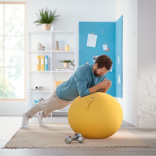 Leitz Sitzball Ergo Cosy