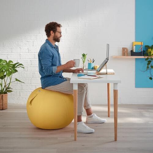 Leitz Sitzball Ergo Cosy