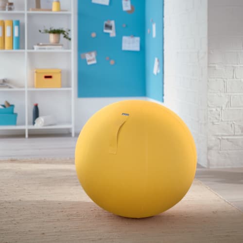 Leitz Sitzball Ergo Cosy