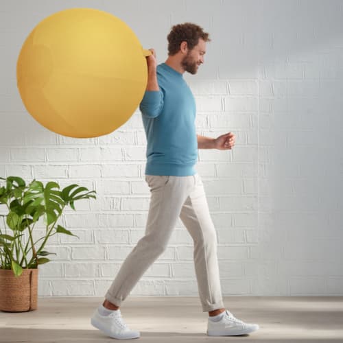 Leitz Sitzball Ergo Cosy